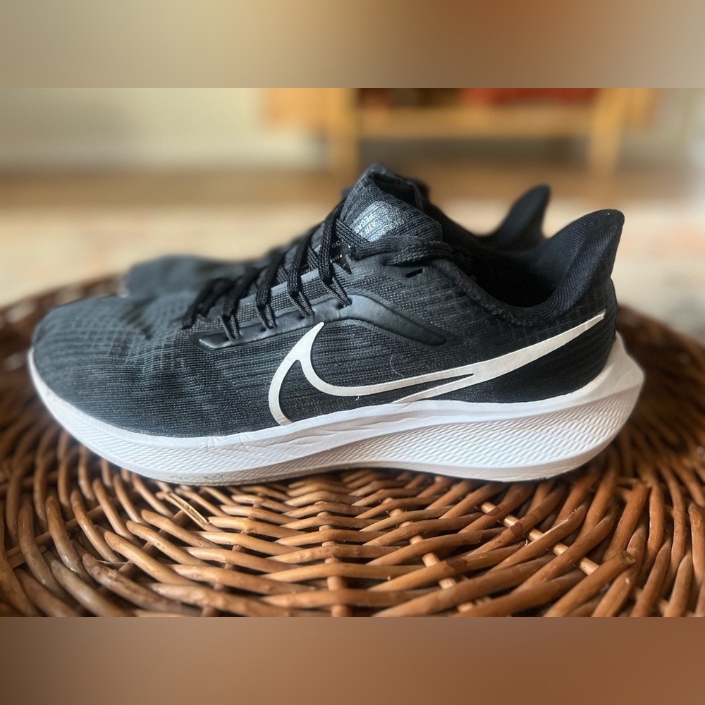 Nike Pegasus 39